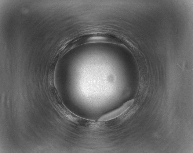 X0000056020096200508191339