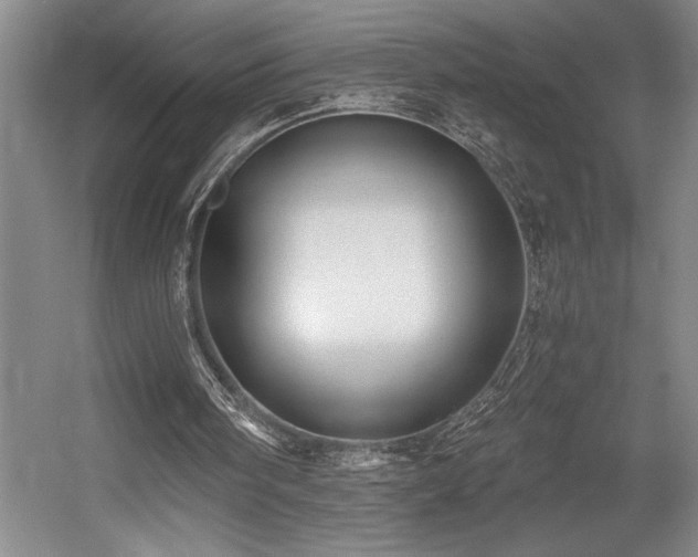 X0000056020098200508191338