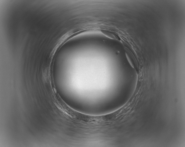 X0000056020099200508191338