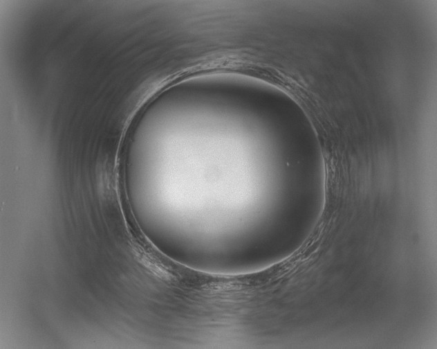 X0000056020100200508191338
