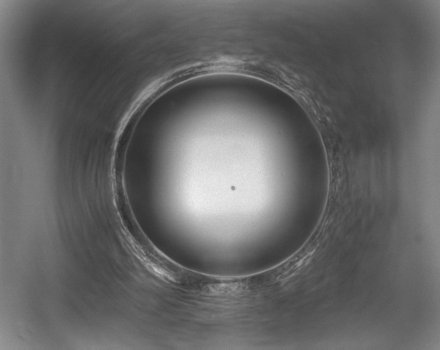 X0000056020102200508191338