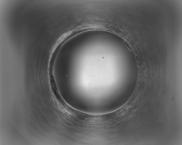 X0000056020104200508191338