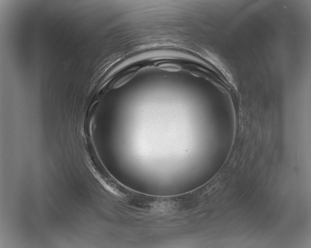 X0000056020105200508191338
