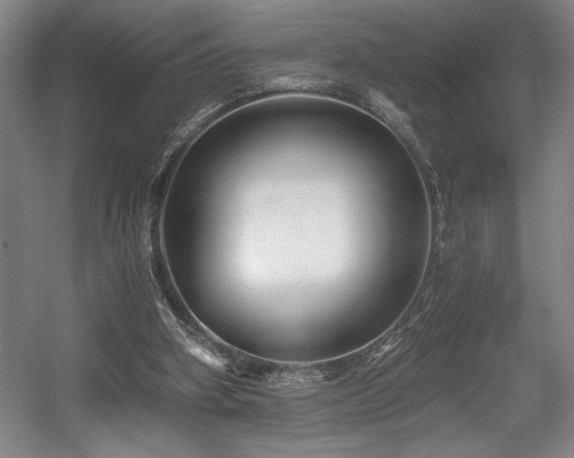 X0000056020106200508191338
