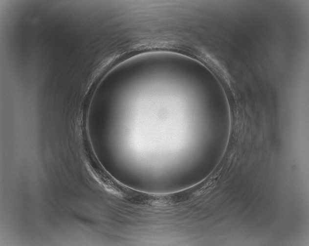 X0000056020107200508191338