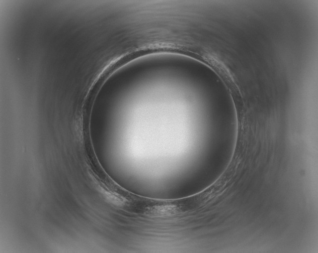 X0000056020108200508191338