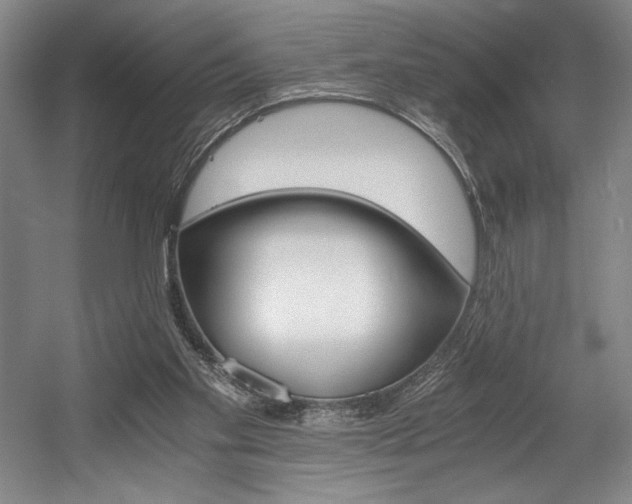 X0000056020109200508191338