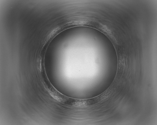 X0000056020110200508191338