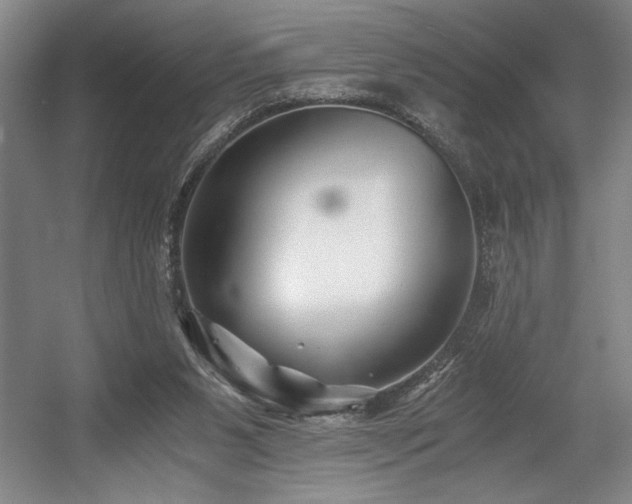 X0000056020111200508191338