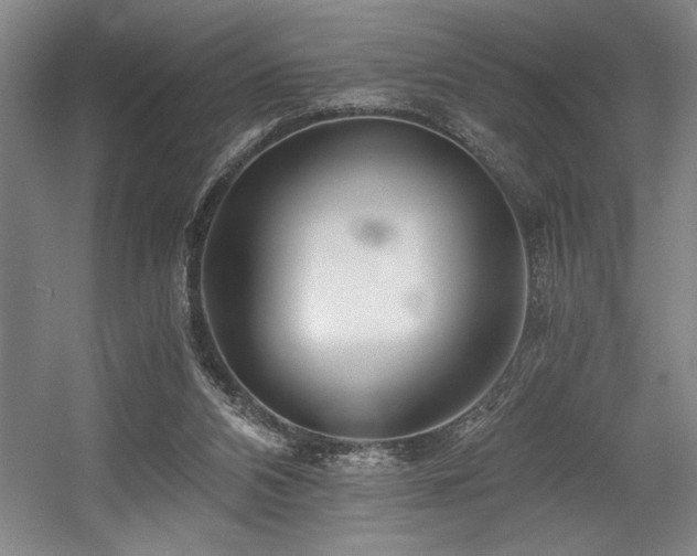 X0000056020112200508191338