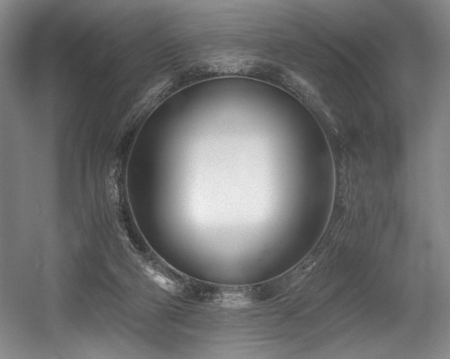 X0000056020114200508191338