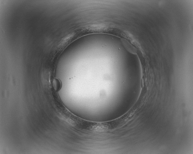 X0000056020115200508191338