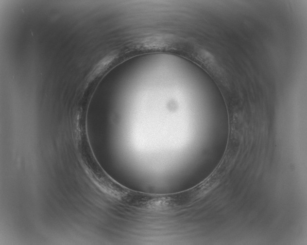 X0000056020116200508191338