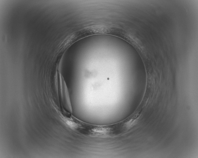 X0000056020117200508191338