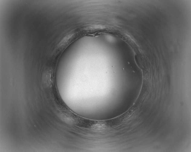 X0000056020119200508191338
