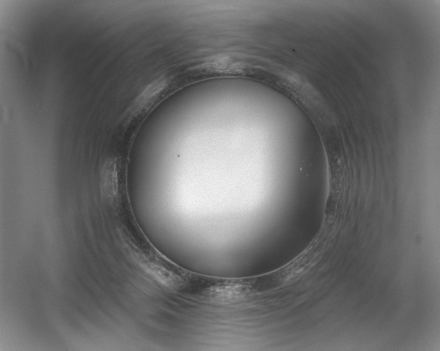 X0000056020120200508191338