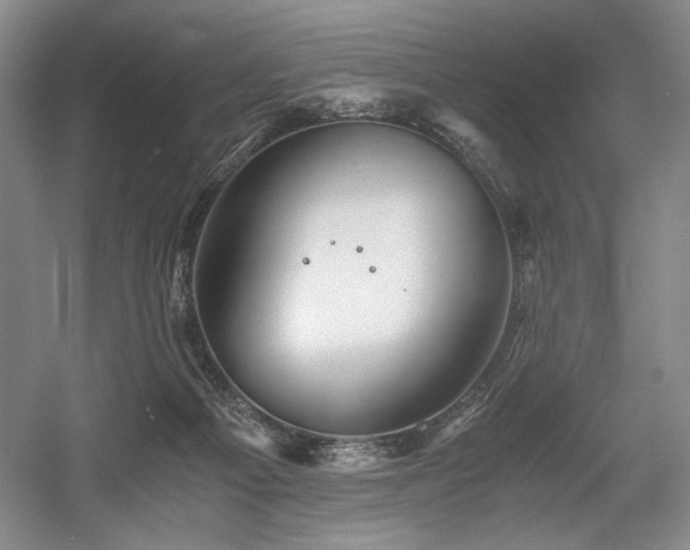 X0000056020121200508191338