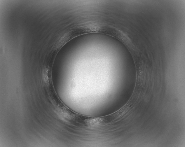 X0000056020122200508191338