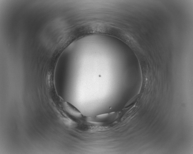 X0000056020123200508191338