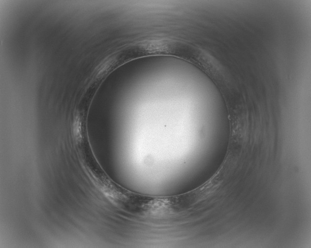 X0000056020124200508191338