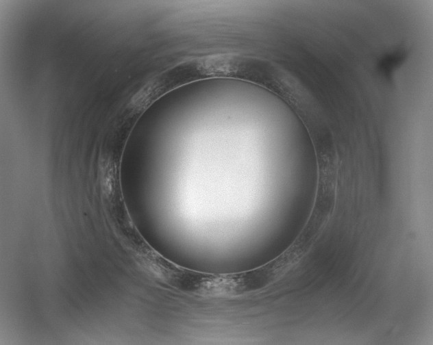X0000056020125200508191338