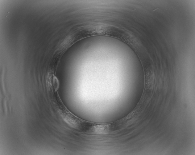 X0000056020126200508191338