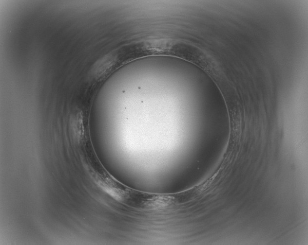 X0000056020128200508191338