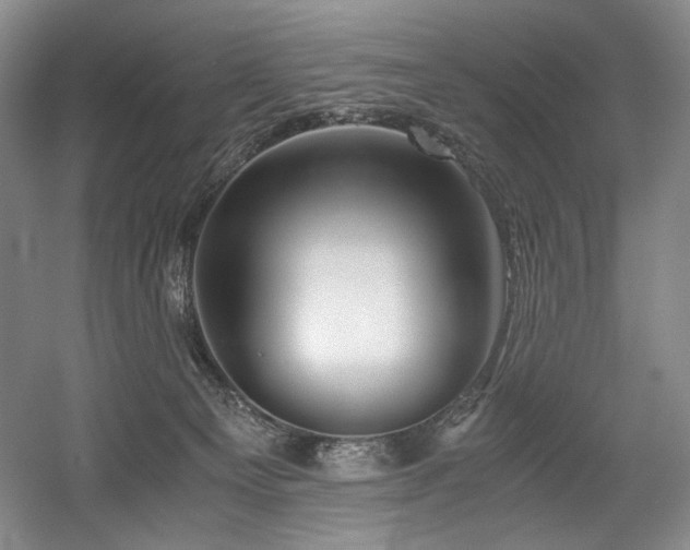 X0000056020129200508191338