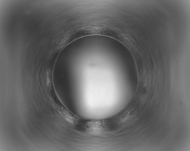 X0000056020131200508191337