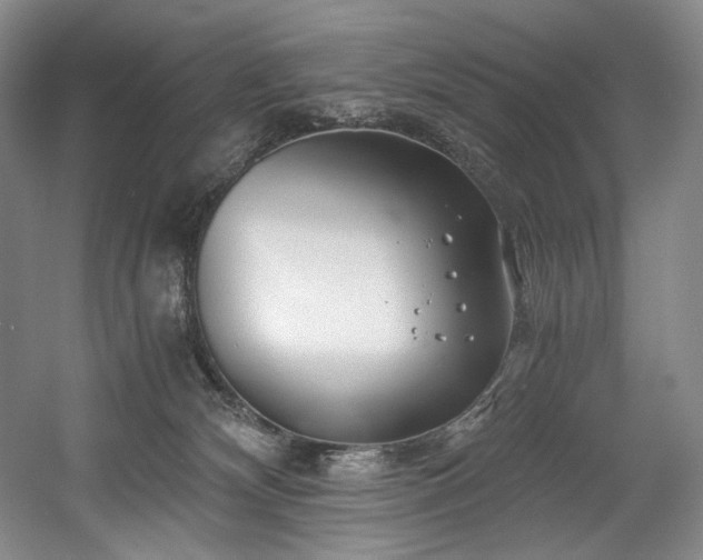 X0000056020132200508191337