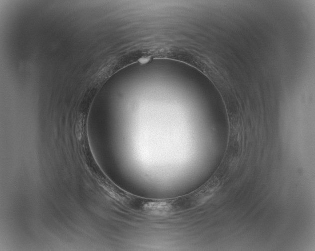 X0000056020133200508191337