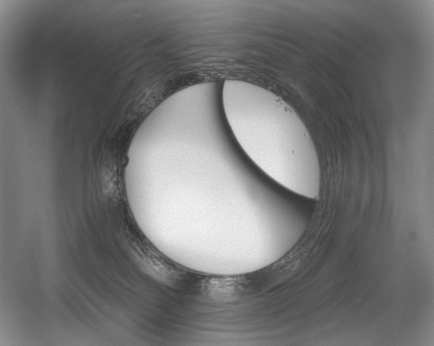 X0000056020134200508191337