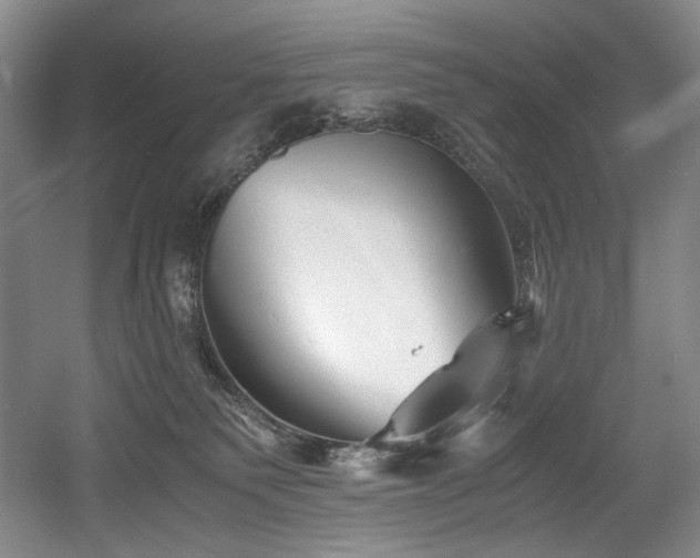 X0000056020135200508191337