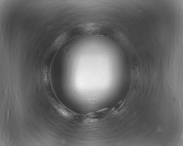 X0000056020138200508191337
