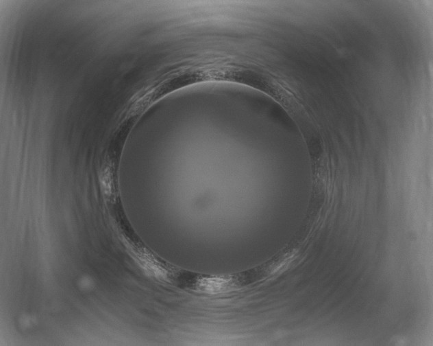 X0000056020139200508191337
