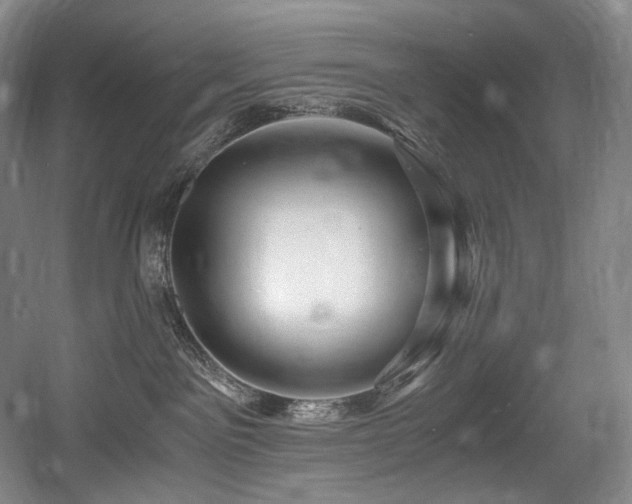 X0000056020141200508191337