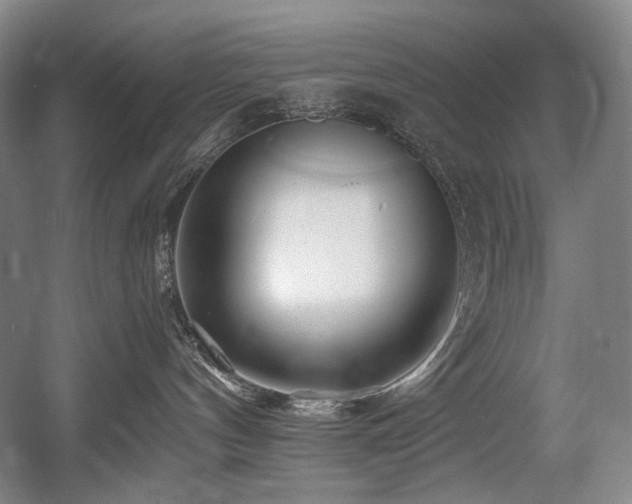 X0000056020144200508191337