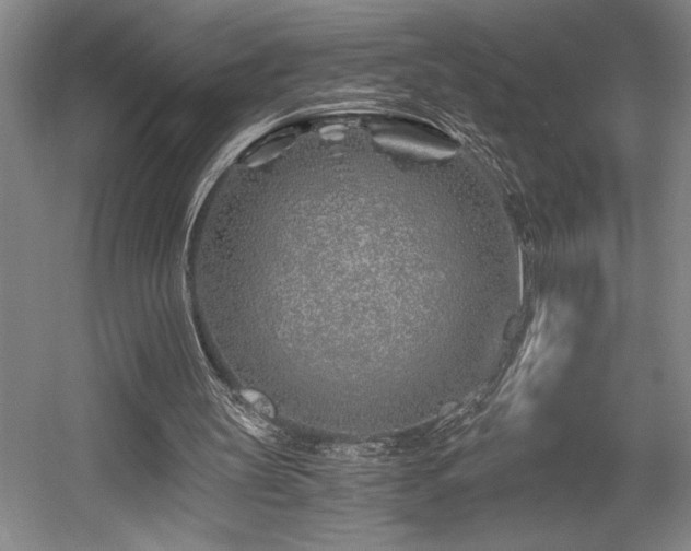 X0000056020147200508191336