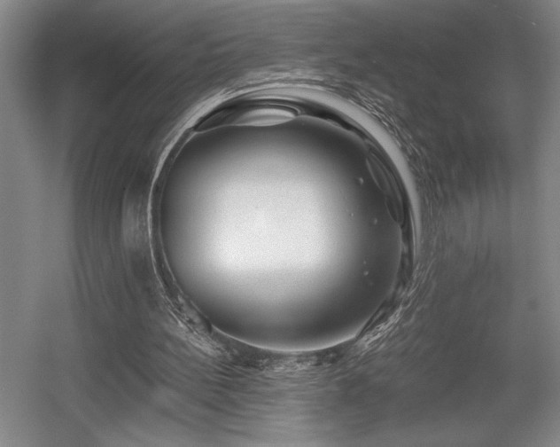 X0000056020148200508191336