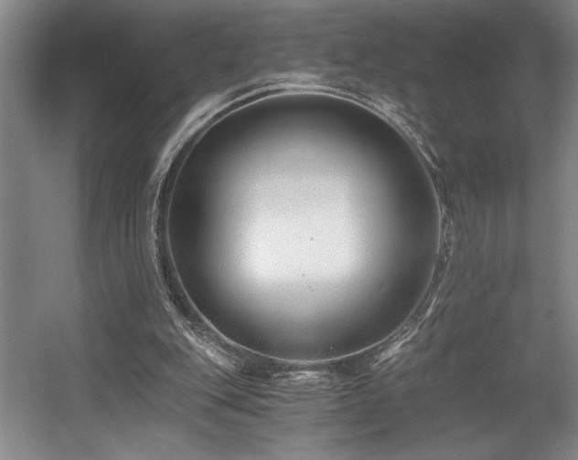 X0000056020151200508191337