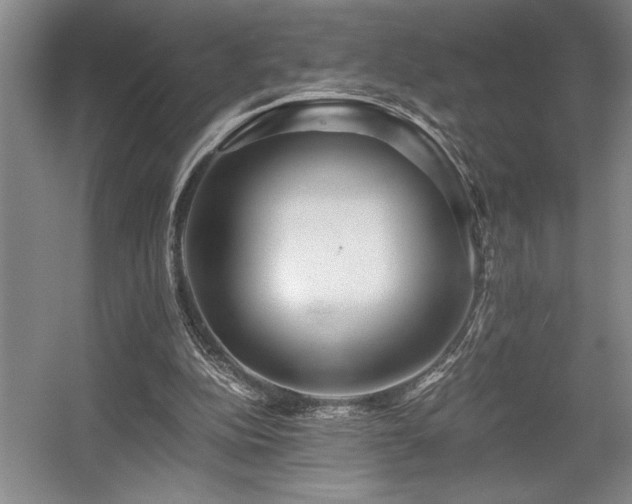X0000056020152200508191337