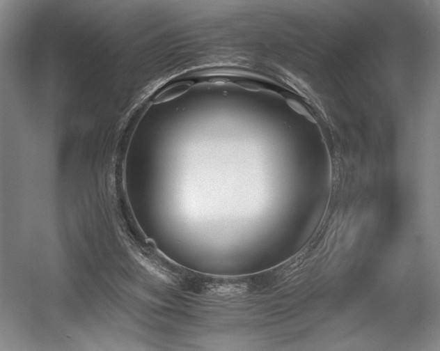 X0000056020155200508191337