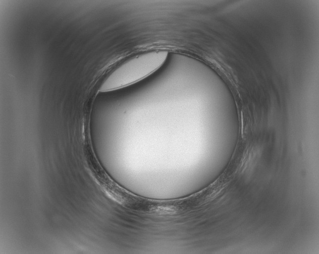 X0000056020157200508191337