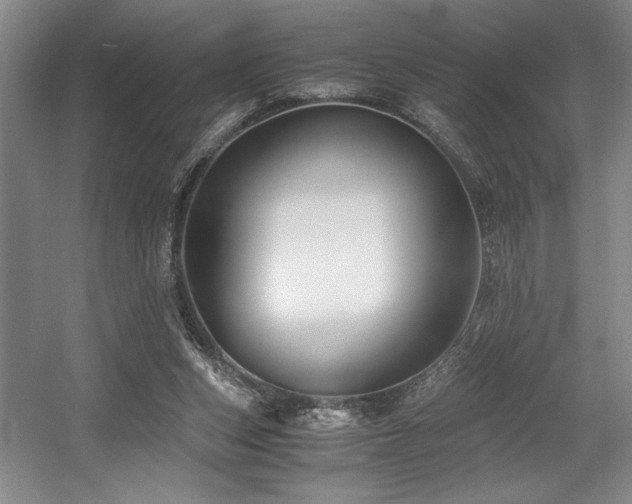 X0000056020159200508191337