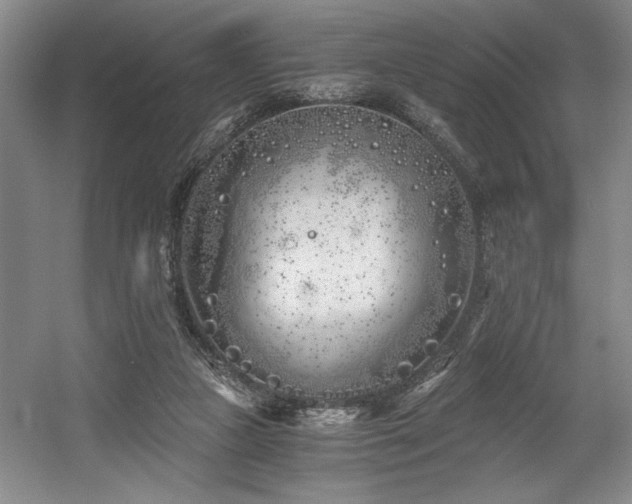 X0000056020161200508191337
