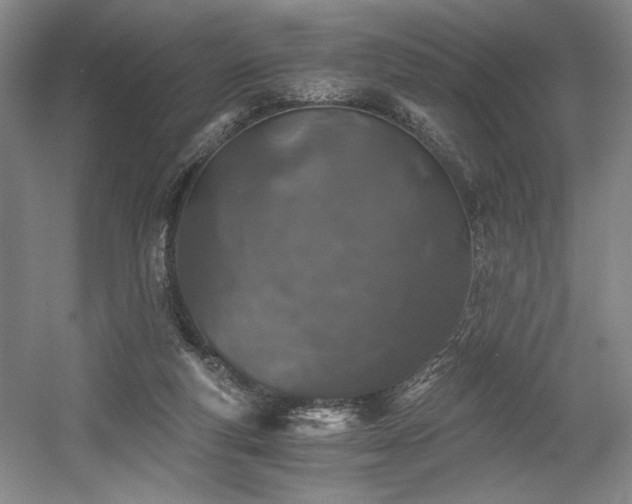 X0000056020163200508191337