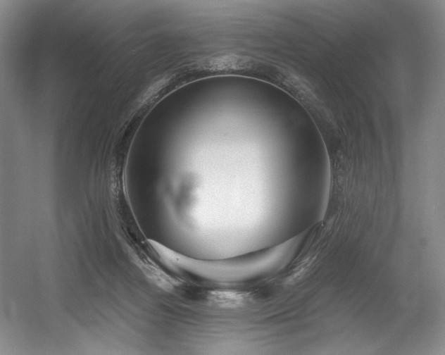 X0000056020164200508191337
