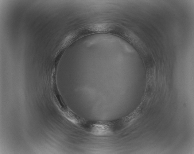 X0000056020167200508191337