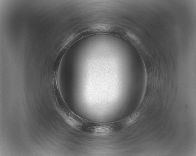 X0000056020168200508191337
