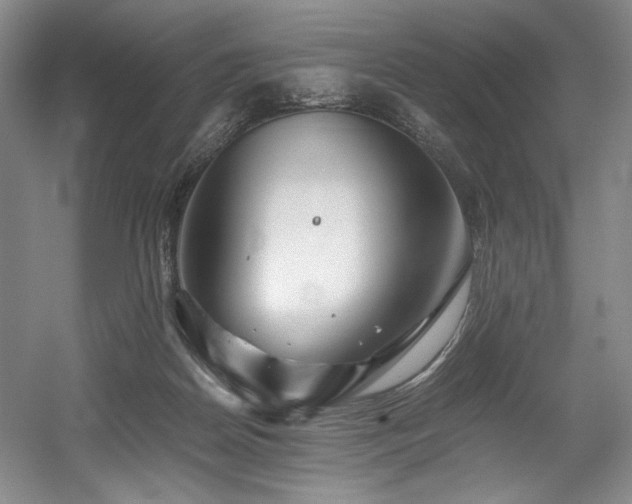 X0000056020170200508191337